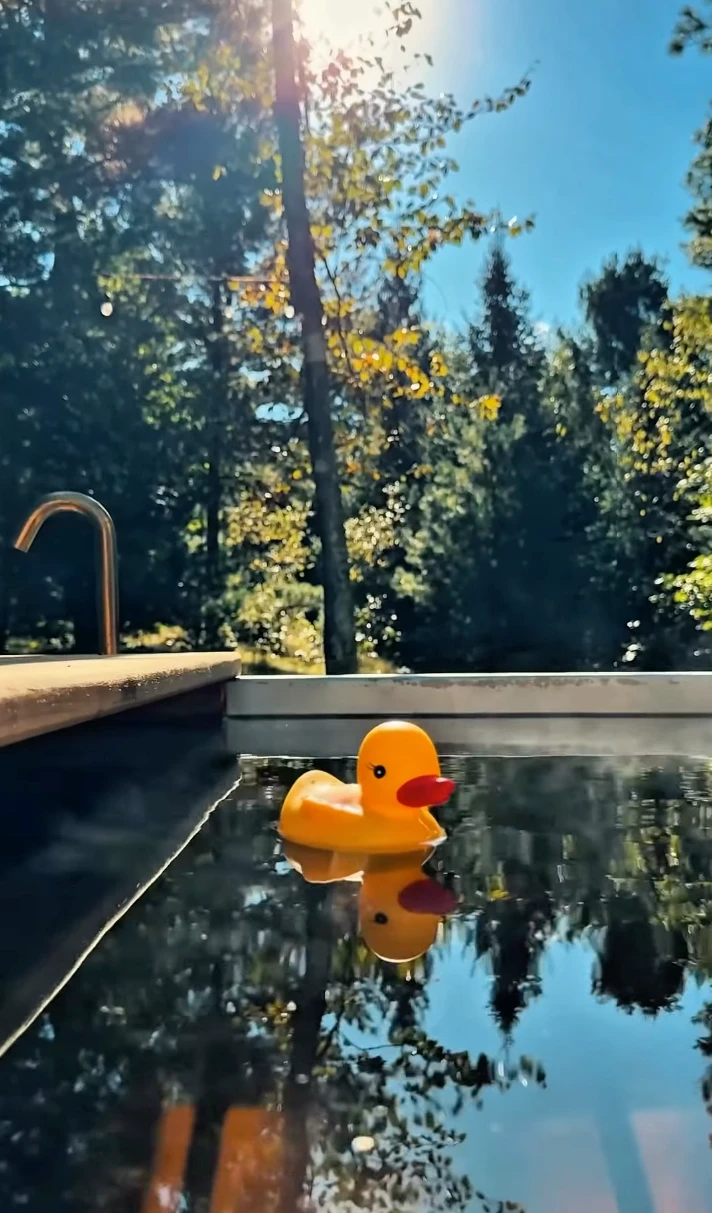 Afternoon swim